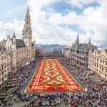 Brussels-Flower-Carpet-4
