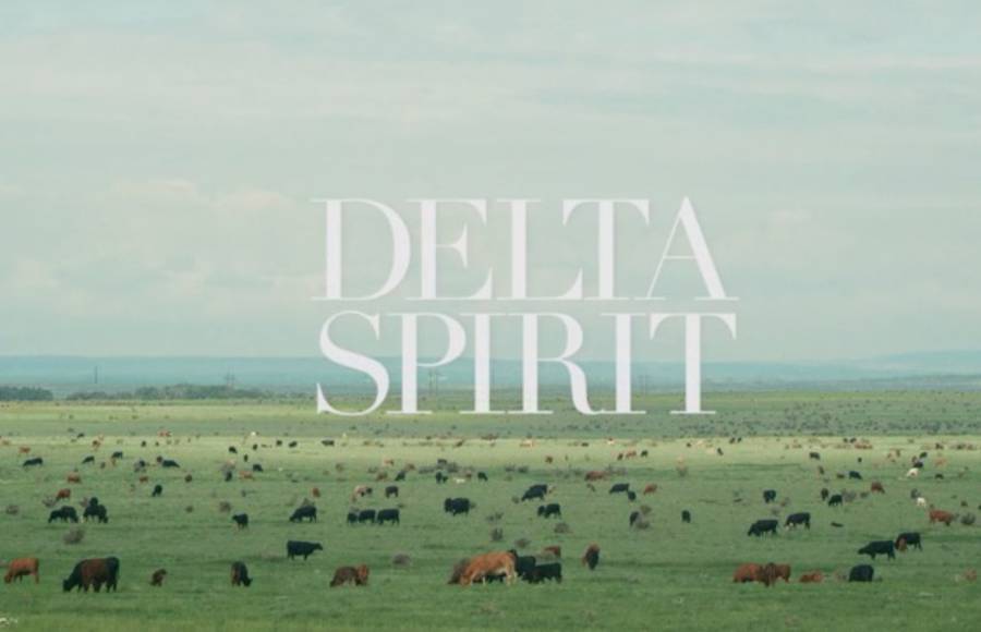 Delta Spirit – From Now On