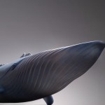 Dreams-Ark Whales Sculptures3
