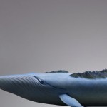 Dreams-Ark Whales Sculptures7