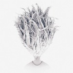Hairy Digital Portraits-2