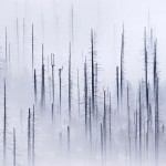 Kilian-Schonberger-3