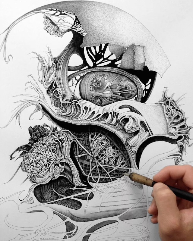 Pen and Ink Drawings by Philip Frank-11 – Fubiz Media