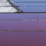 Purple Views of The San Francisco Bay-3