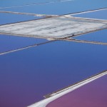 Purple Views of The San Francisco Bay-4