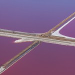 Purple Views of The San Francisco Bay-5