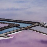 Purple Views of The San Francisco Bay-7