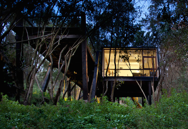 nuit façade extérieur rêve bois forêt