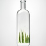 Rain bottle installation -7