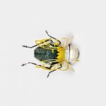 Recycled Paper Insects-4