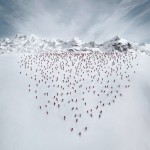 Red Mountaineer Photography-4