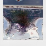 Ruined Polaroids Photography-4