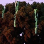 Visual Sound and Lights Experiment-2