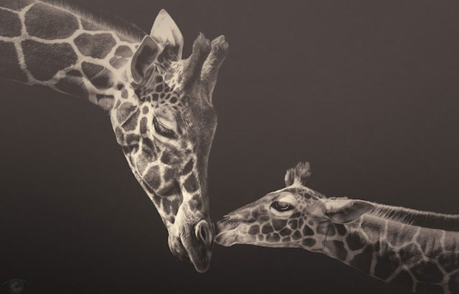 Zoo Animals Photography by Manuela Kulpa