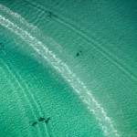 beachabove-9