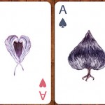 birdcards-6