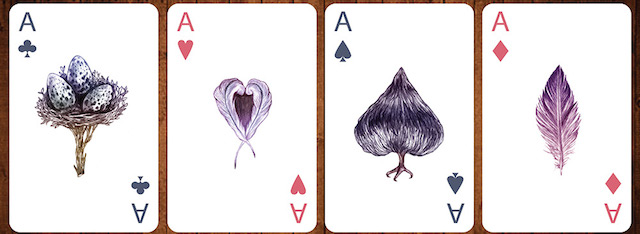 birdcards-6