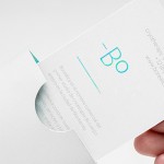 borealica-3