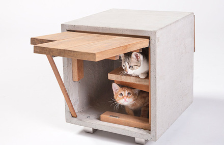 Playful Cat Shelters