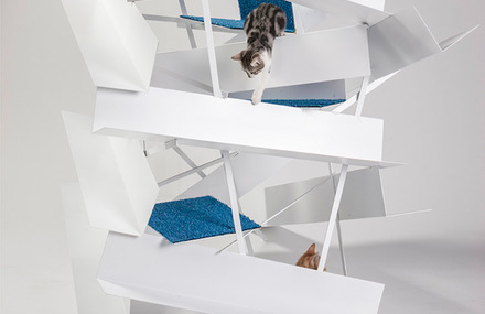 Playful Cat Shelters