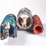 catshelters-5