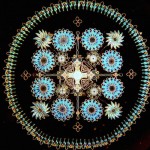 diatom-2