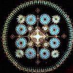 diatom-2