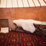 flatpackedcabin-3