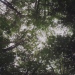 metronomymonthofsundays-5