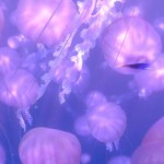 pixarcolors-5