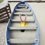playful people in colorful landscape 12