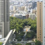 100 colors in Shinjuku Central Park10