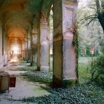 3-Splendore