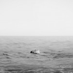 Andrea-Torres-Balaguer_01