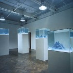 Aquarium Sculptures by Mariele Neudecker-5