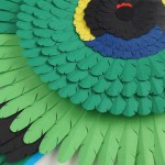Australian-Birds-23
