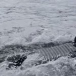 Electric Powered Wakeboard-3