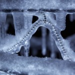 Frozen Light-6