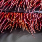 Glass Sculptures Inspired by Wind and Water-3