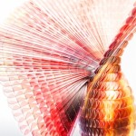 Organic Structure and Textile Art-12