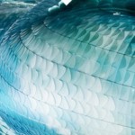 Organic Structure and Textile Art-14