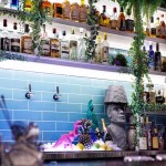 The Woolly Mammoth Interior Design-1