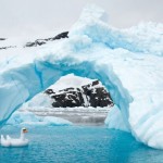 Unexpected Antartica Photography by Gray Malin-4