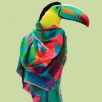 blazon-9