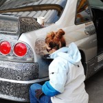 carcustomizedwithamarker-1