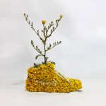 flowersgrowinginnike-0