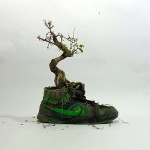 flowersgrowinginnike-1