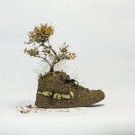 flowersgrowinginnike-12