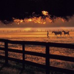 kevinfleming-7