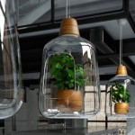 lightovo-4